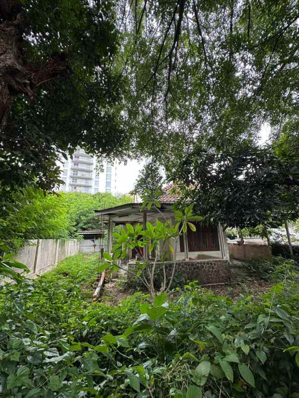 dijual tanah menteng