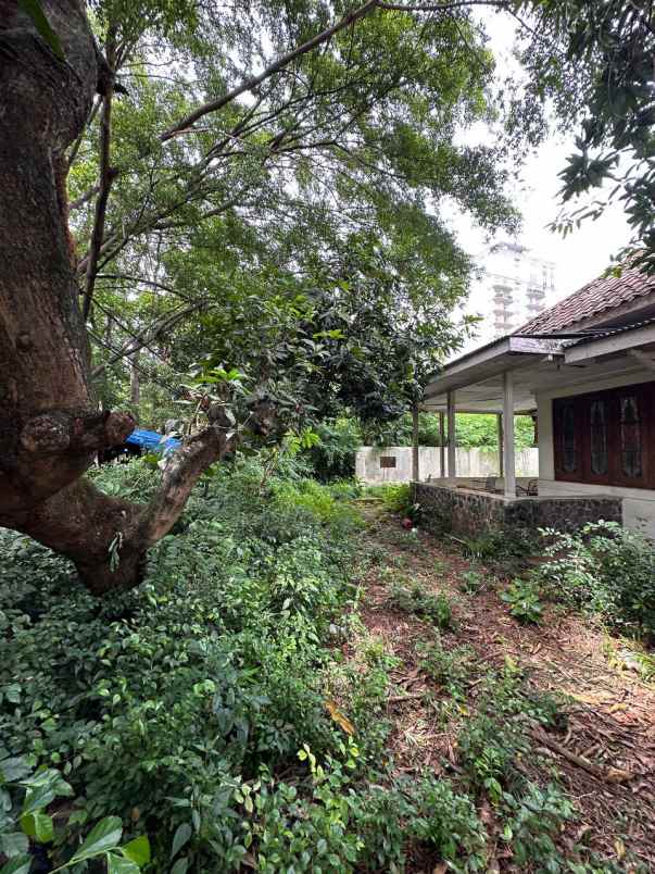 dijual tanah menteng