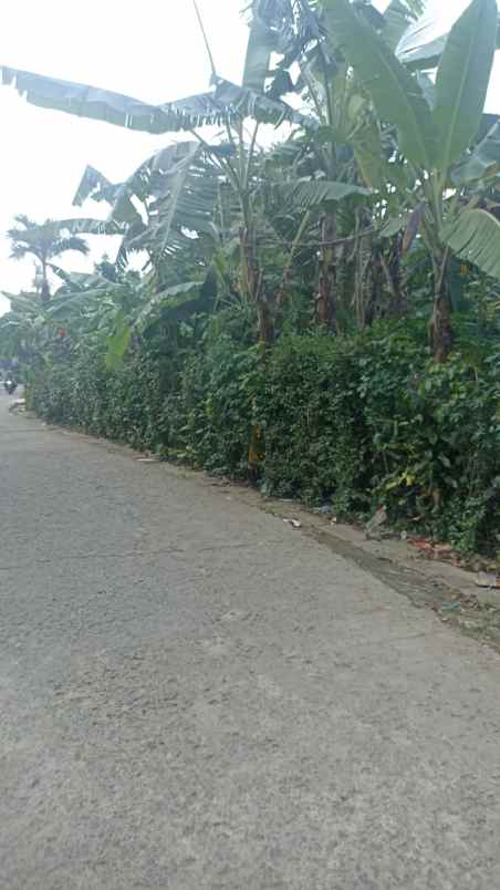 dijual tanah murah bedahan depok