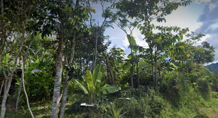 dijual tanah neglasari pasir salak