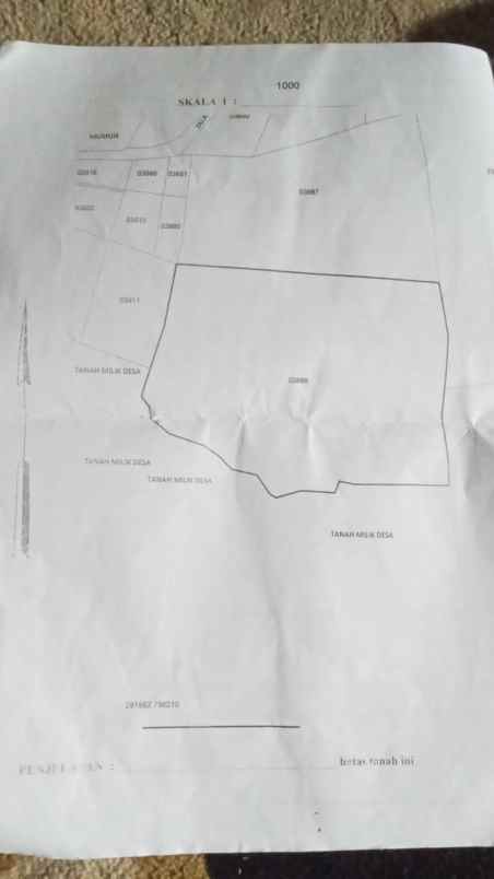 dijual tanah neglasari pasir salak