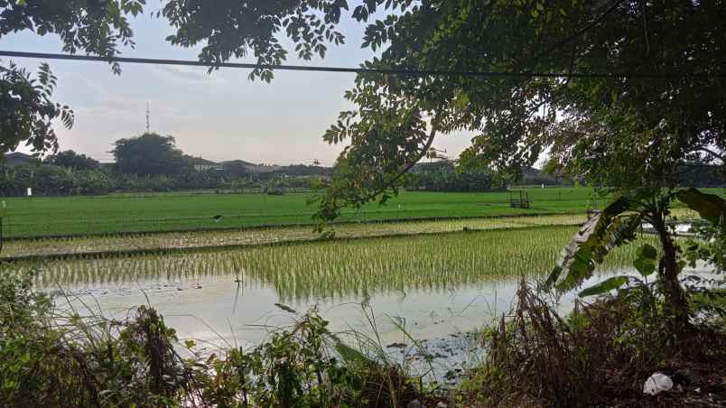 dijual tanah nol jalan raya lingkar timur sidoarjo