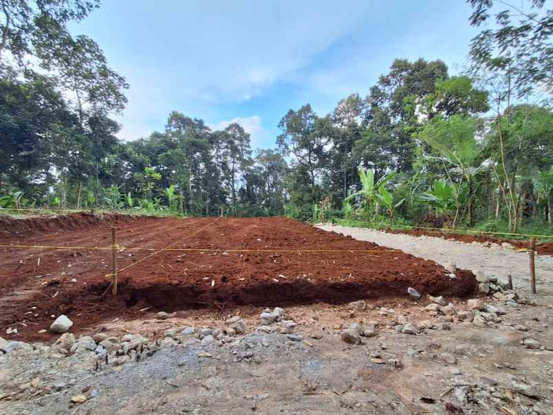 dijual tanah nongkosawit