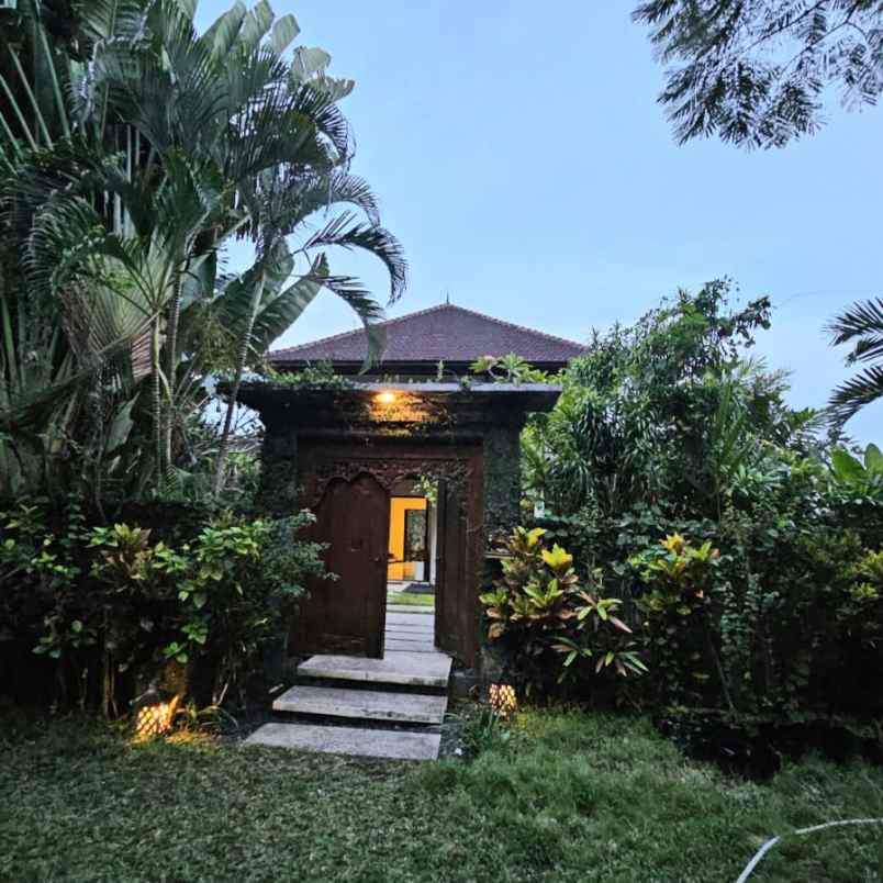 dijual tanah padang linjong