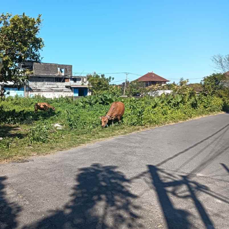 dijual tanah padangsambian kaja