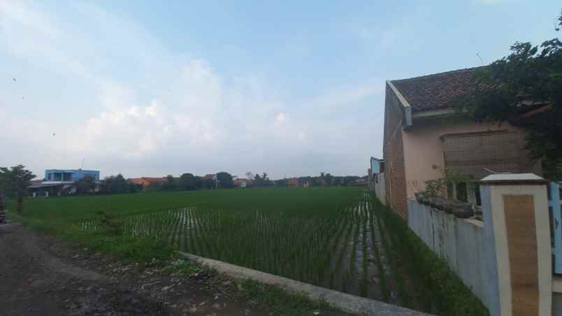 dijual tanah padasuka