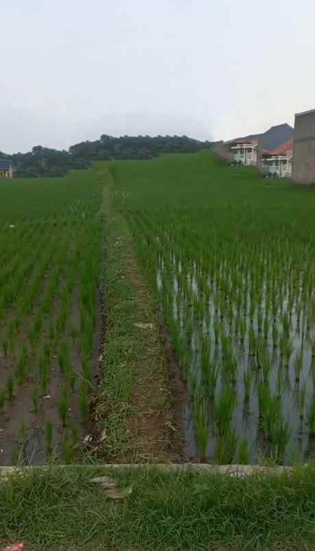 dijual tanah padasuka