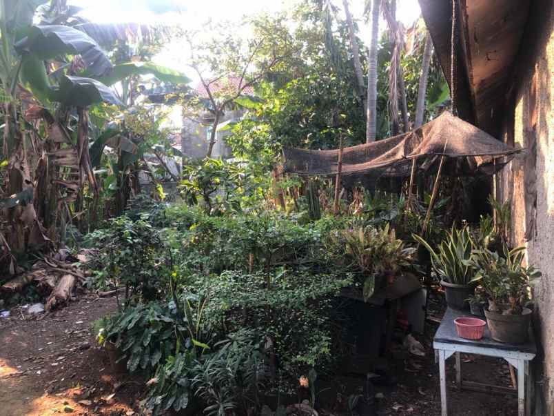 dijual tanah pasar minggu