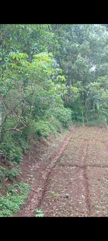 dijual tanah pasir impun