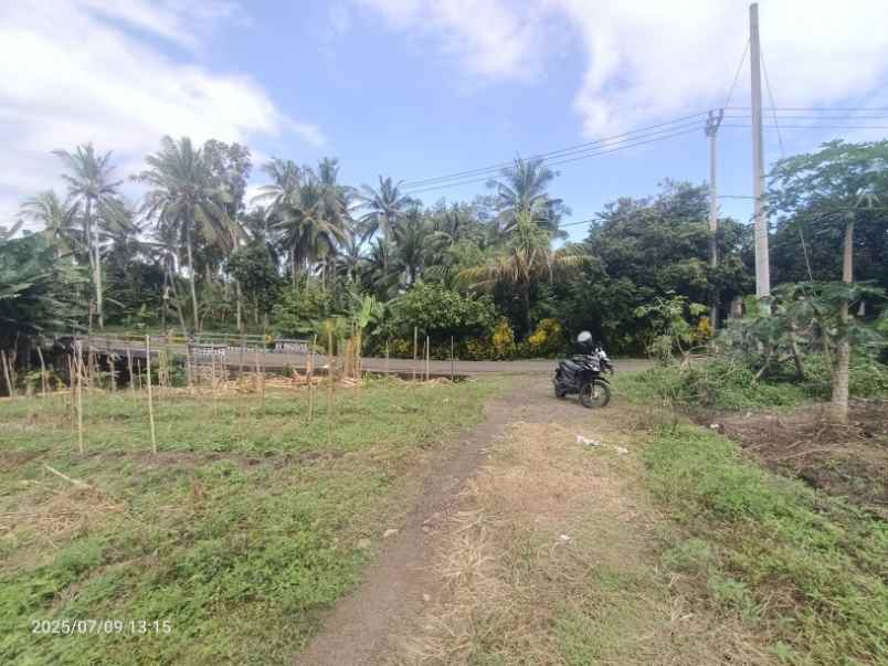 dijual tanah pekutatan jembrana bali