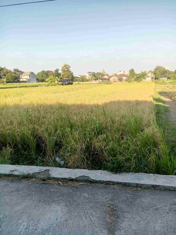 dijual tanah pertanian shm