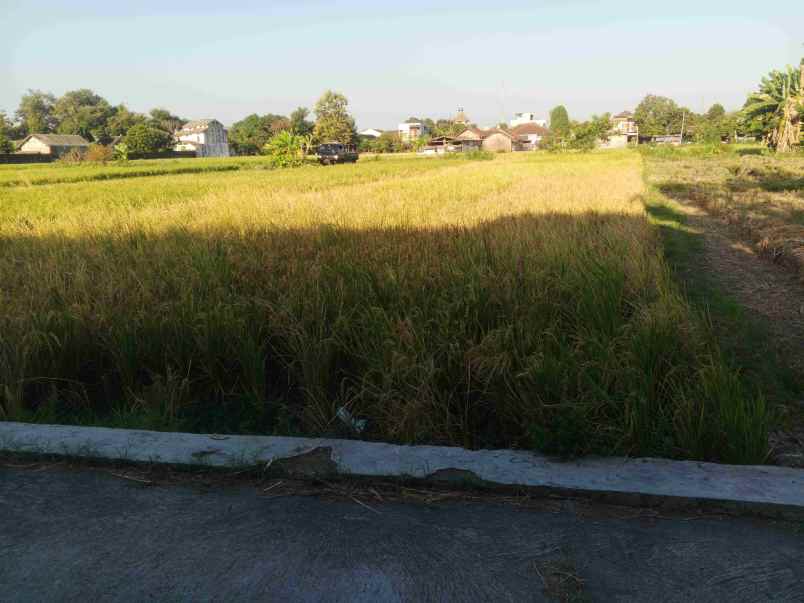 dijual tanah pertanian shm