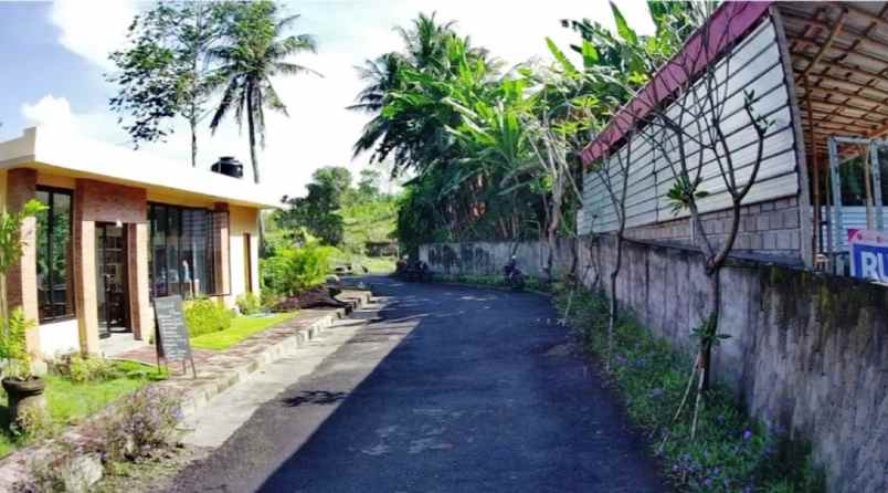 dijual tanah pinda saba gianyar