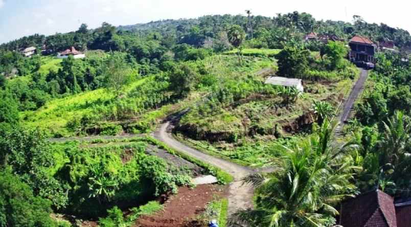 dijual tanah pinda saba gianyar