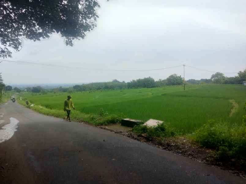 dijual tanah pinggir jl raya sarwadadi talun