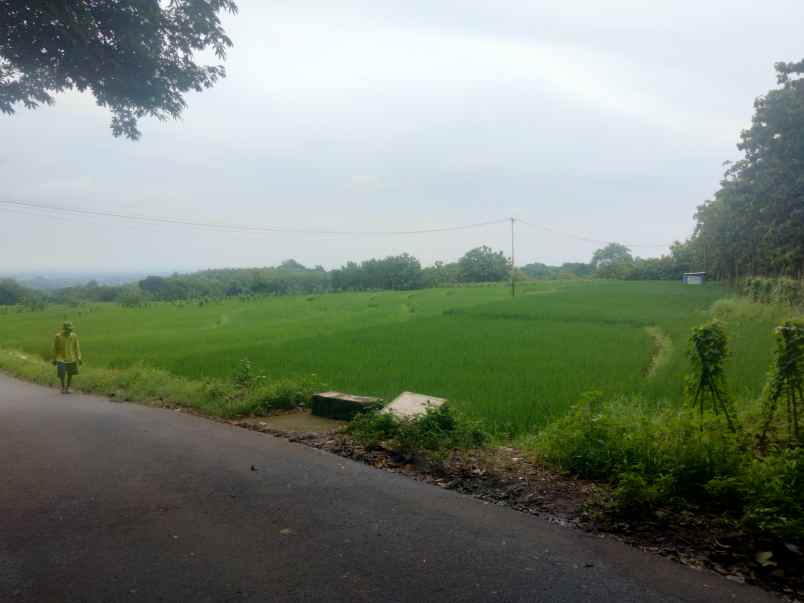 dijual tanah pinggir jl raya sarwadadi talun