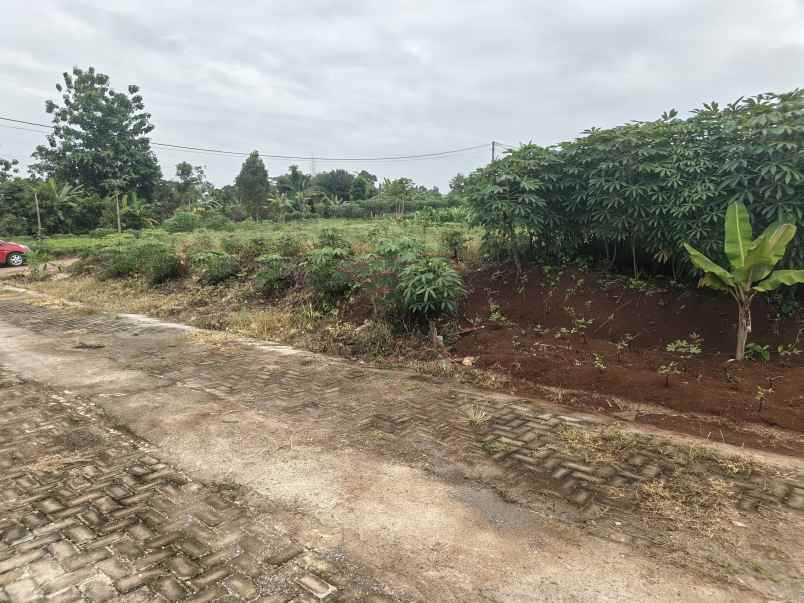 dijual tanah podorejo