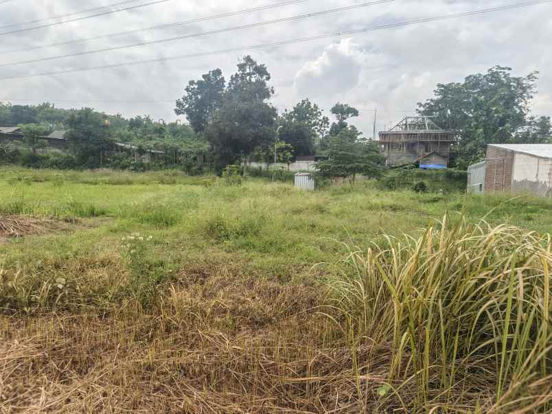 dijual tanah podorejo