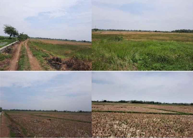 dijual tanah sawah luas shm di desa bakung tangerang