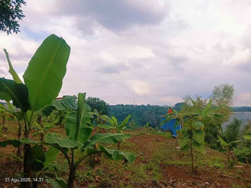 dijual tanah sekaran gunungpati semarang