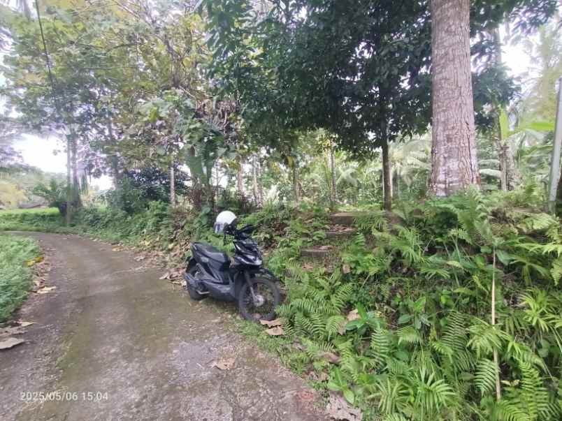 dijual tanah selemadeg tabanan bali