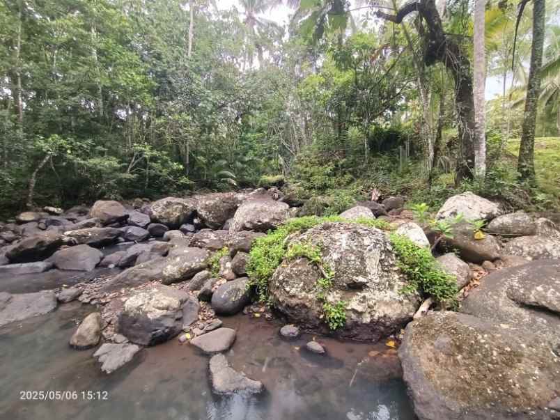 dijual tanah selemadeg tabanan bali