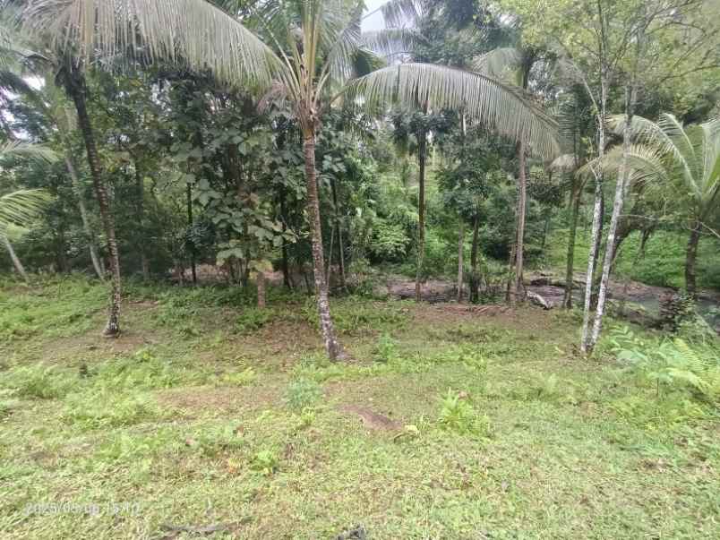 dijual tanah selemadeg tabanan bali