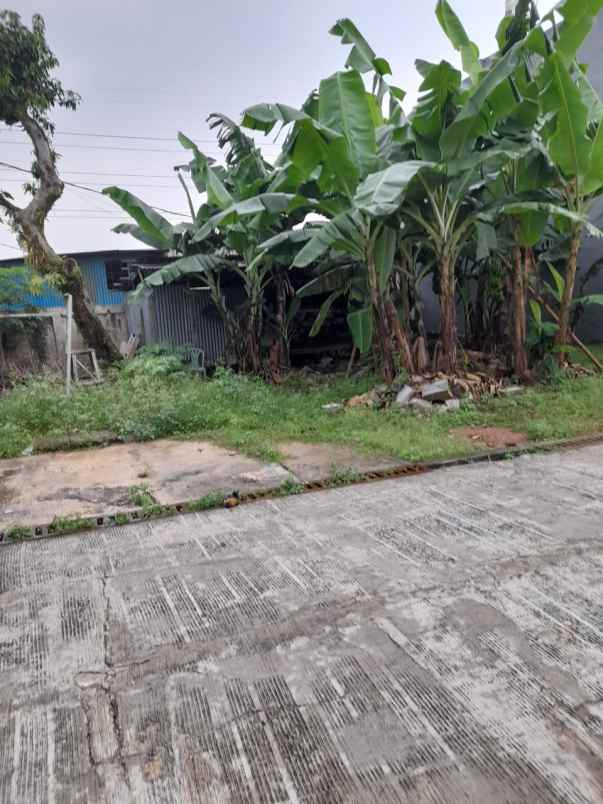dijual tanah shm strategis 700m dari pintu tol kukusan