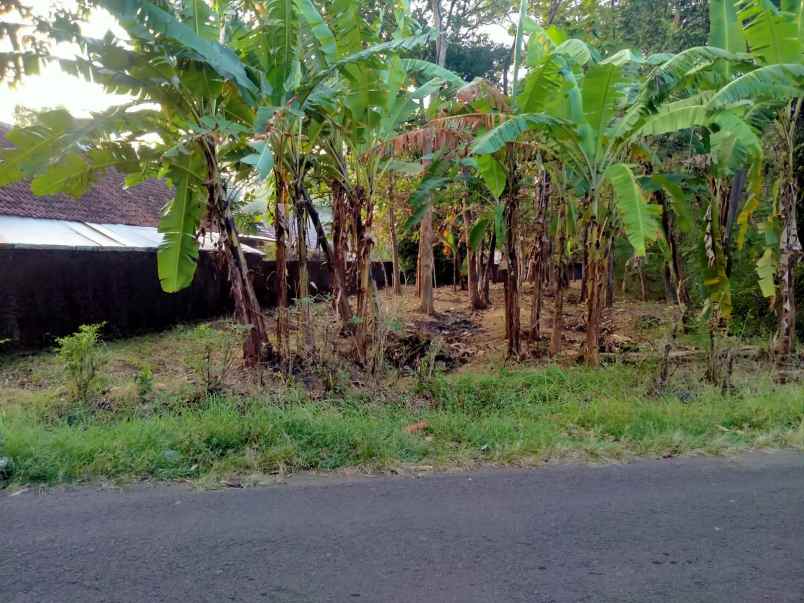 dijual tanah sindang kempeng kec pancalang