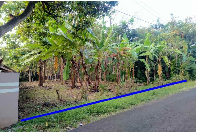 dijual tanah sindang kempeng kec pancalang