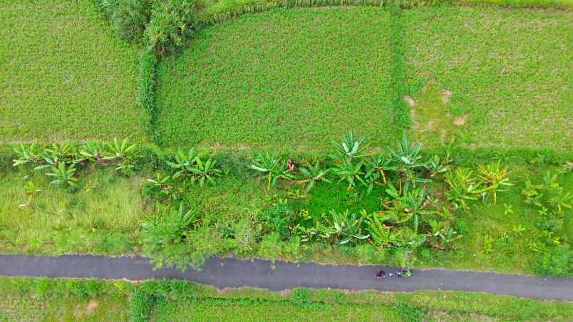 dijual tanah strategis 3 46 are tedung gianyar