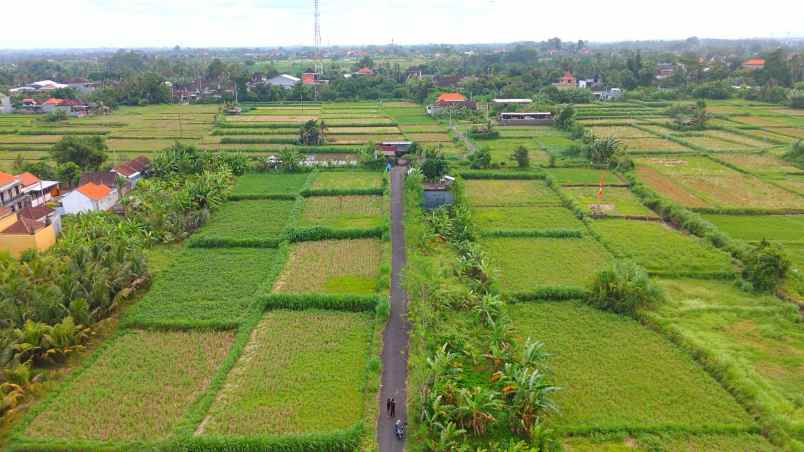 dijual tanah strategis 3 46 are tedung gianyar