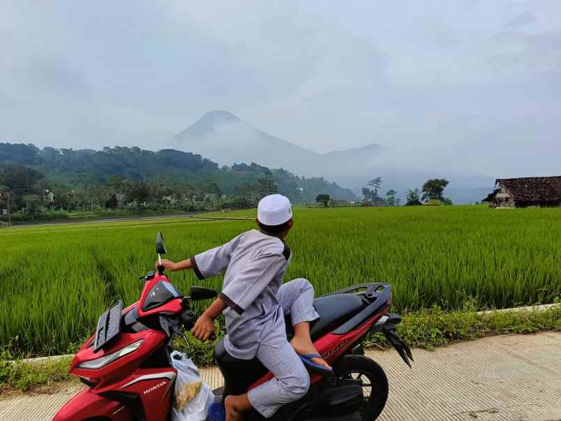 dijual tanah sumber bening candiwates