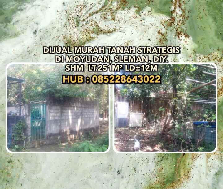 dijual tanah sumberarum moyudan sleman diy