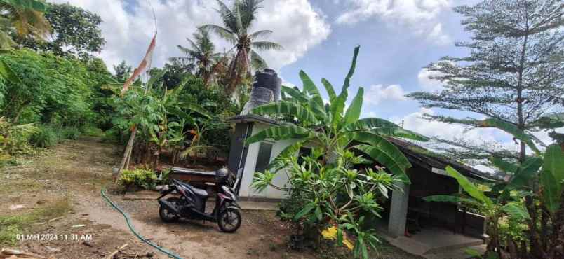 dijual tanah tanah lot
