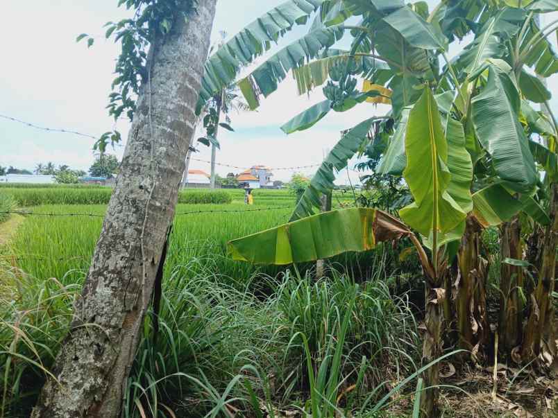 dijual tanah tanah lot