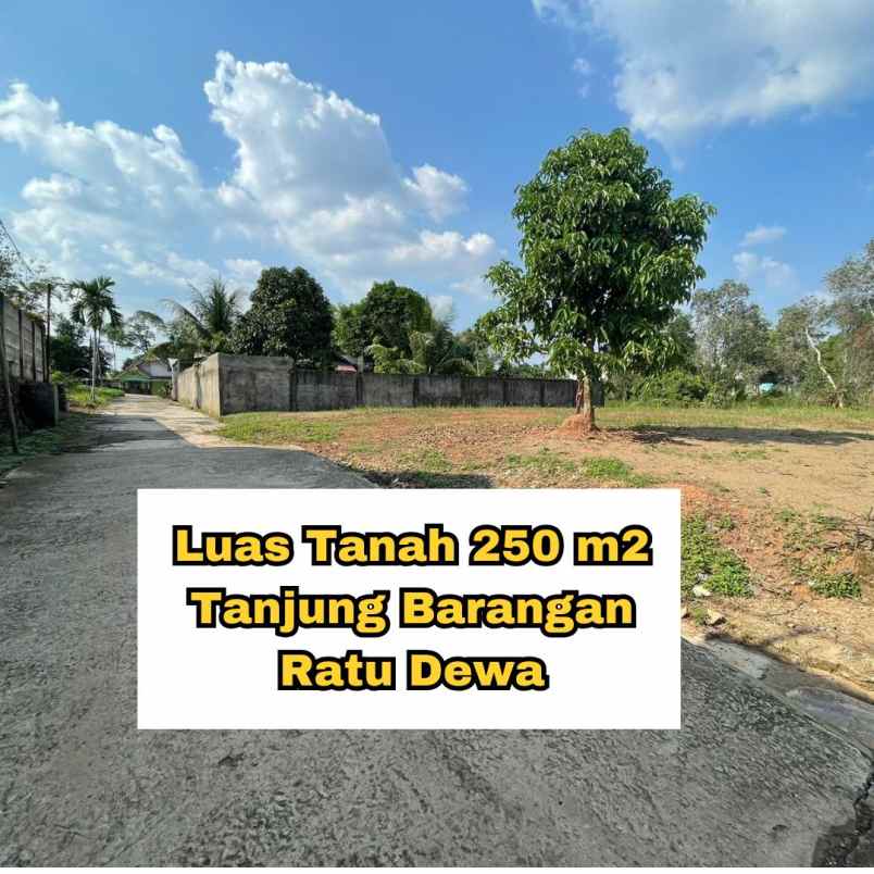 dijual tanah tanjung barangan ratu dewa