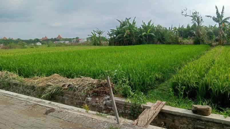 dijual tanah tanjung tirto