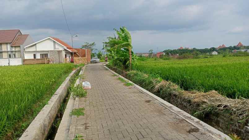 dijual tanah tanjung tirto