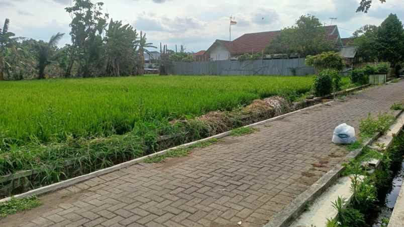 dijual tanah tanjung tirto