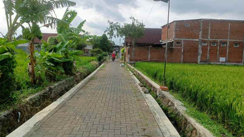 dijual tanah tanjung tirto