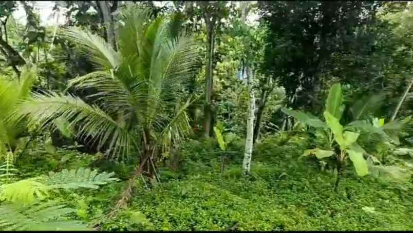 dijual tanah tegalalang ubud gianyar bali