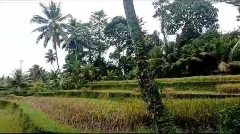 dijual tanah tegalalang ubud gianyar bali