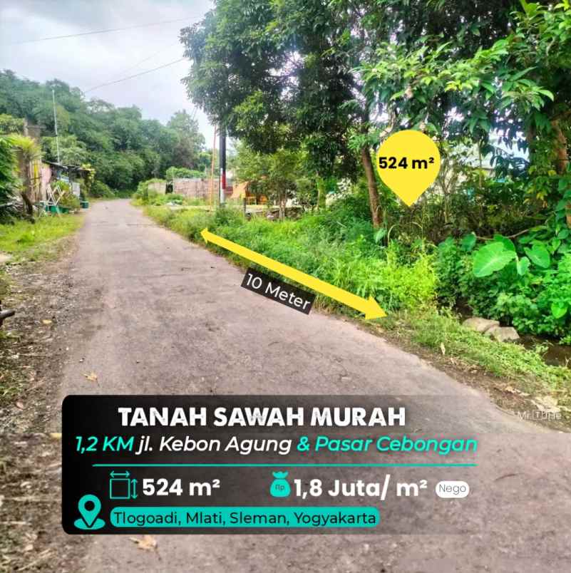 dijual tanah tlogoadi