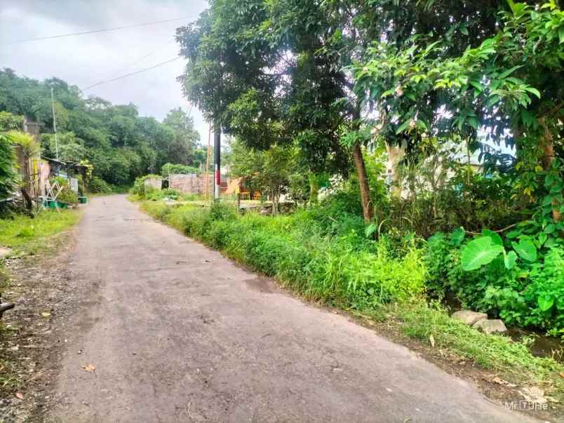 dijual tanah tlogoadi