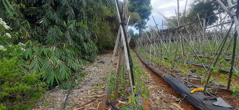 dijual tanah tugulaksana