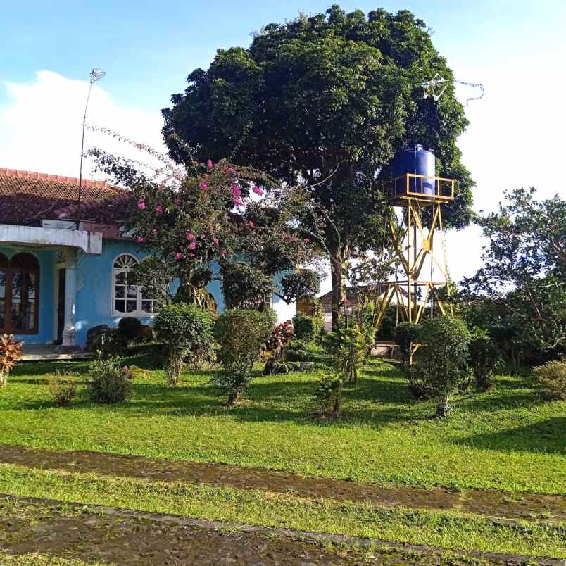 dijual villa villa bukit cipendawa puncak