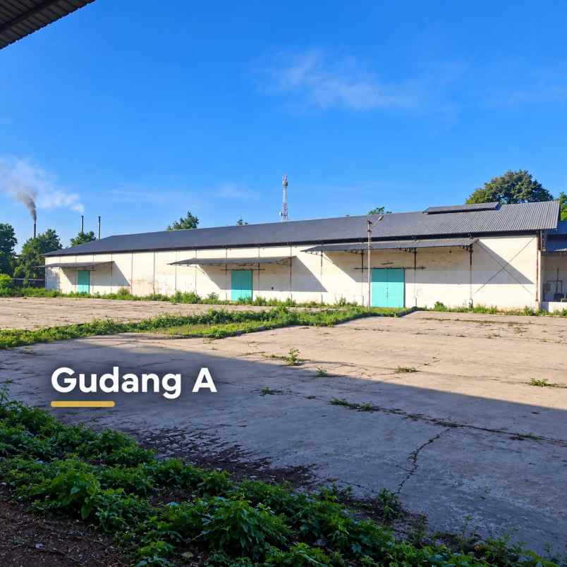 disewakan gudang di lumajang