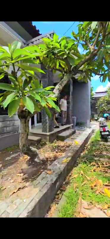 disewakan rumah area jalan mahendradata