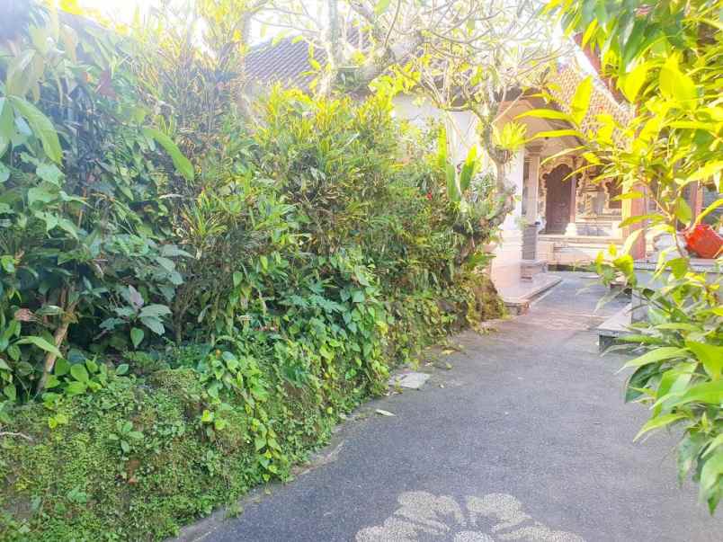 disewakan rumah di tegalalang ubud gianyar bali